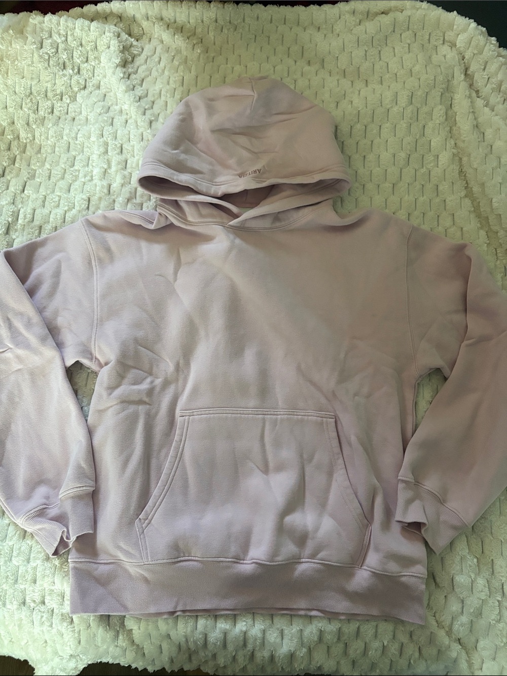 Aritzia Perfect Hoodie in Cupid Pink